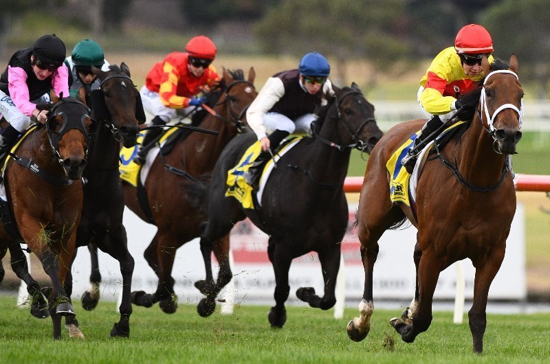 Kilmore Betting Tips