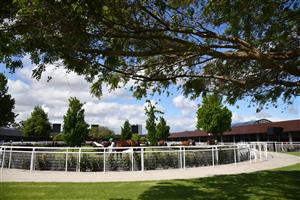 MELBOURNE, AUSTRALIA - OCTOBER 02: General view of pre parade ring during Melbourne Racing at Flemington Racecourse on October 02, 2021 in Melbourne, Australia. (Photo by Vince Caligiuri/Getty Images)