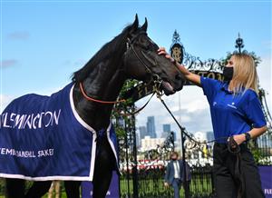 MELBOURNE, AUSTRALIA - OCTOBER 02: Kallos poses after winning race 5, the Vrc Members Danehill Stakes, during Melbourne Racing at Flemington Racecourse on October 02, 2021 in Melbourne, Australia. (Photo by Vince Caligiuri/Getty Images)