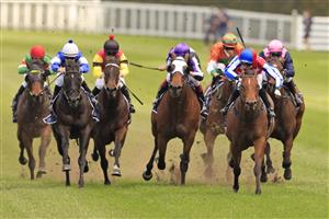 SYDNEY, AUSTRALIA - OCTOBER 02: Andrew Adkins on Fox Fighter (red/blue), wins race 1 the Midway Handicap during Sydney Racing on Epsom Day at Royal Randwick Racecourse on October 02, 2021 in Sydney, Australia. (Photo by Mark Evans/Getty Images)
