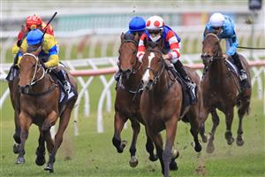 SYDNEY, AUSTRALIA - OCTOBER 02: Jason Collett on Sejardan wins race 3 the Arrowfield Breeders’ Plate during Sydney Racing on Epsom Day at Royal Randwick Racecourse on October 02, 2021 in Sydney, Australia. (Photo by Mark Evans/Getty Images)