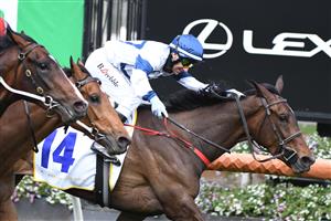 MELBOURNE, AUSTRALIA - OCTOBER 02: Brett Prebble riding El Patroness winning Race 2, the Kirkland Gold Super Impose Stakes, during Melbourne Racing at Flemington Racecourse on October 02, 2021 in Melbourne, Australia. (Photo by Vince Caligiuri/Getty Images)