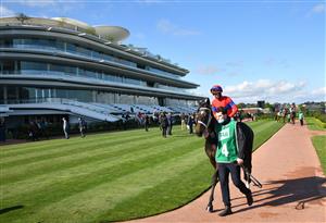 MELBOURNE, AUSTRALIA - OCTOBER 02: Damian Lane riding Verry Elleegant before Race 7, the Tab Turnbull Stakes, during Melbourne Racing at Flemington Racecourse on October 02, 2021 in Melbourne, Australia. (Photo by Vince Caligiuri/Getty Images)