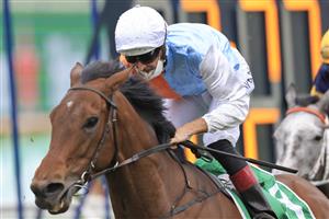 SYDNEY, AUSTRALIA - OCTOBER 02: Hugh Bowman on Montefilia (orange/blue), wins race 9 the Heineken Metropolitan during Sydney Racing on Epsom Day at Royal Randwick Racecourse on October 02, 2021 in Sydney, Australia. (Photo by Mark Evans/Getty Images)