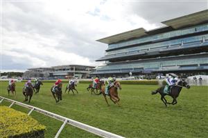 SYDNEY, AUSTRALIA - OCTOBER 02: Tommy Berry on Wairere Falls wins race 4 the TAB handicap during Sydney Racing on Epsom Day at Royal Randwick Racecourse on October 02, 2021 in Sydney, Australia. (Photo by Mark Evans/Getty Images)