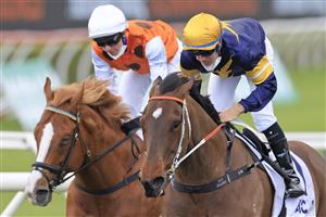 SYDNEY, AUSTRALIA - OCTOBER 02: Tommy Berry on Masked Crusader (yellow cap), wins race 6 the ACY Securities Premiere Stakes during Sydney Racing on Epsom Day at Royal Randwick Racecourse on October 02, 2021 in Sydney, Australia. (Photo by Mark Evans/Getty Images)