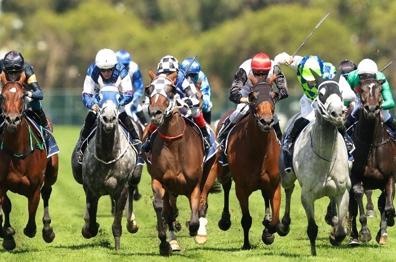 Gosford Tips for 27.05.2021