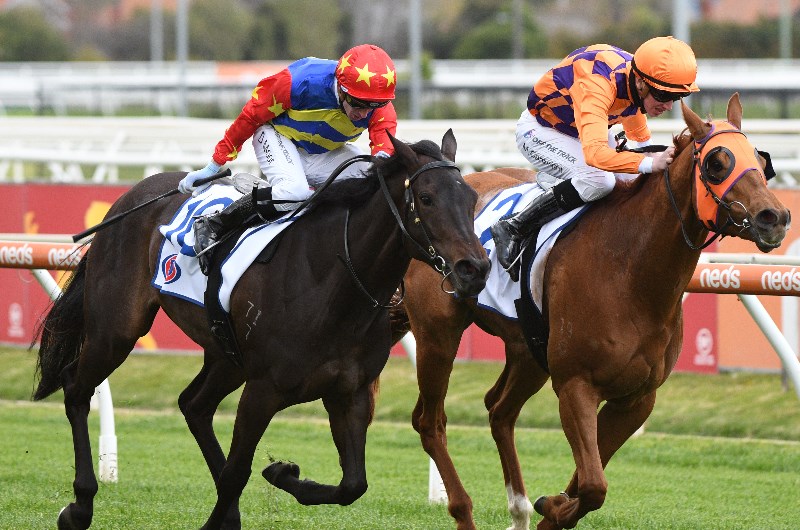 Sale Betting Tips