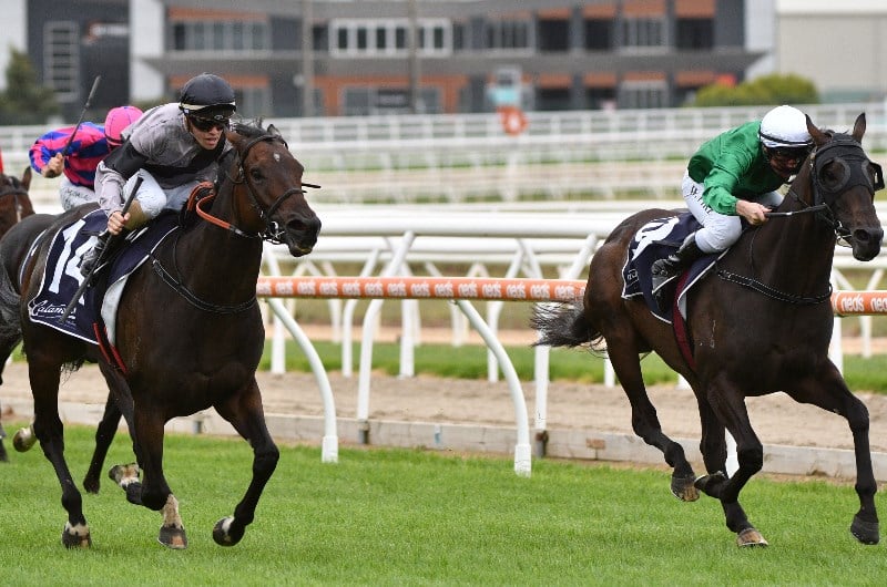 Mornington Racing Tips