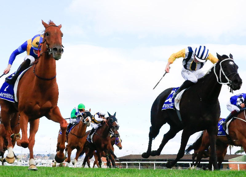 Port Macquarie Tips for 08.10.2021