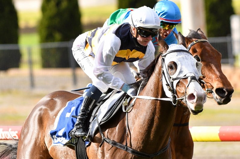 Toorak Handicap Tips