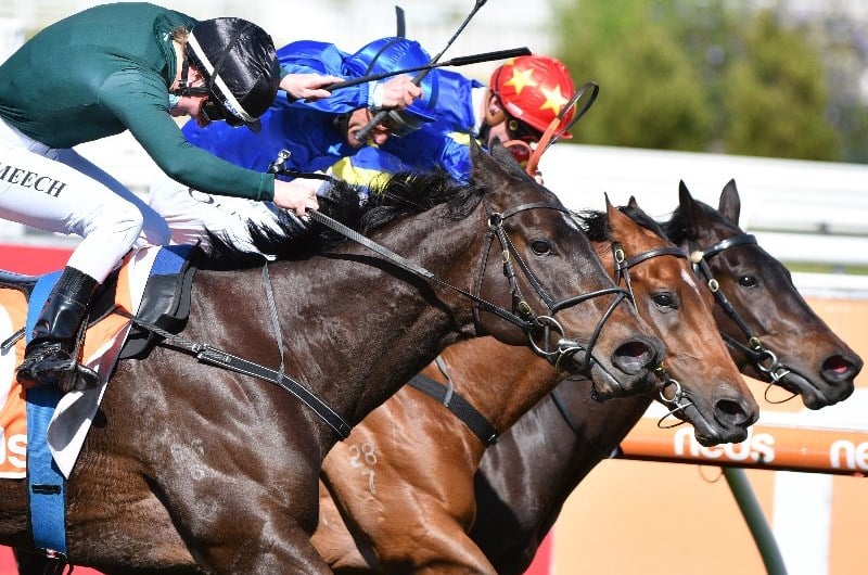Caulfield Betting Tips