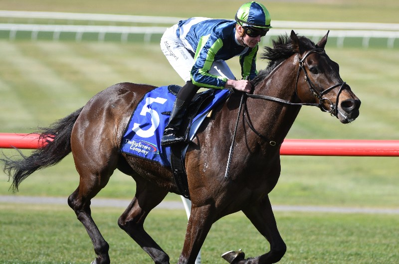 Caulfield Betting Tips