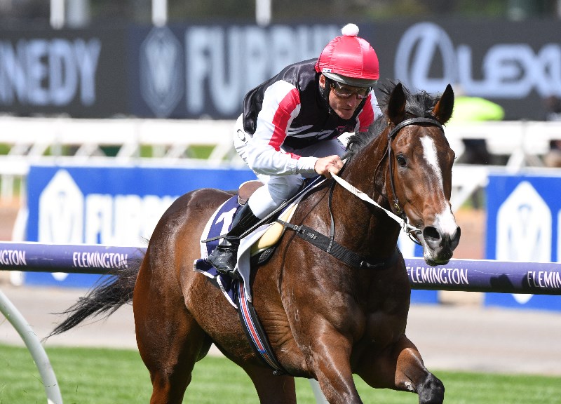 Damien Oliver Jockey Market