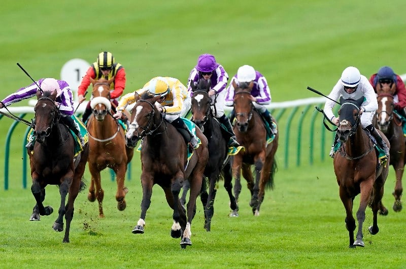 fillies mile newmarket