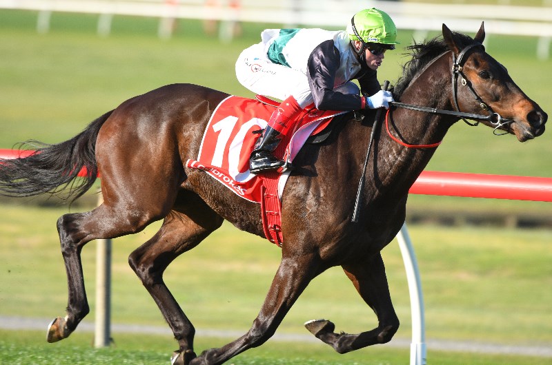 Ballarat Betting Tips