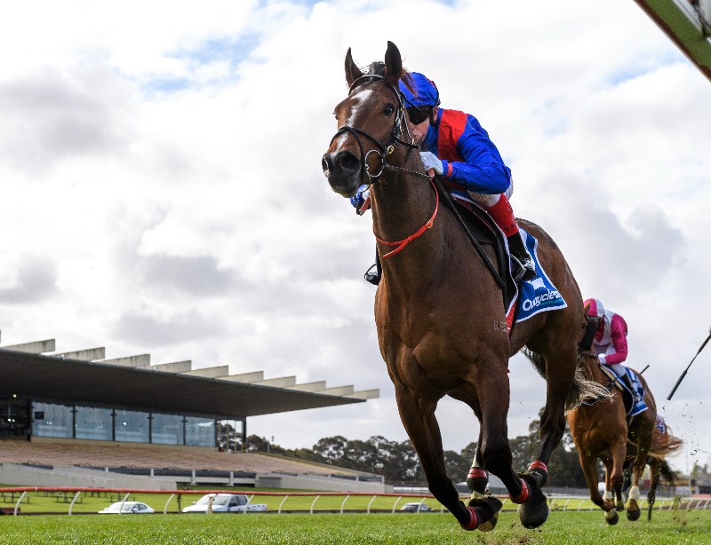 Big Bets for 09.10.2021