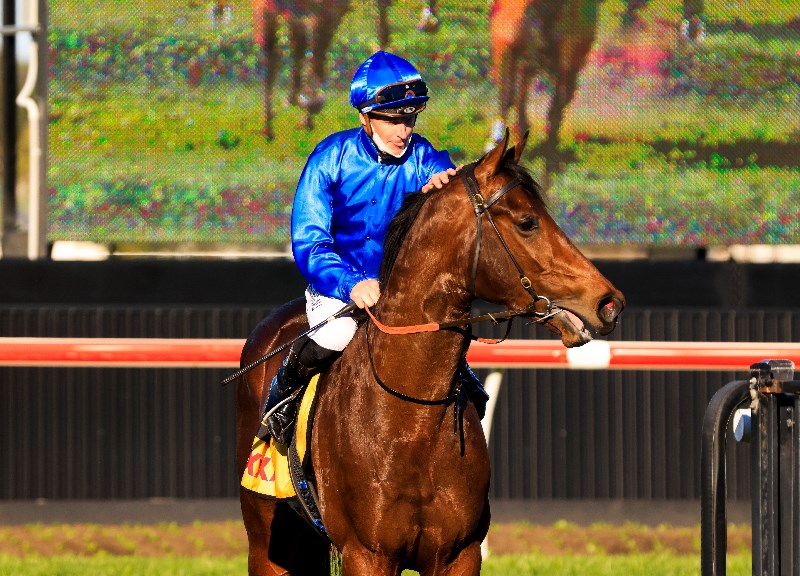 Caulfield Offer