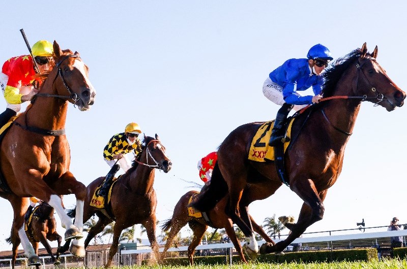 Golden Rose barrier Draw
