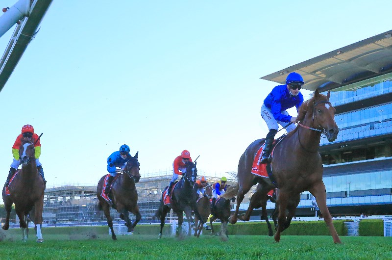 Randwick Offer