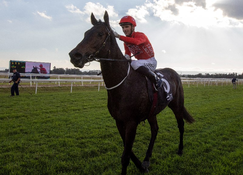 Roughie Tips for October 9