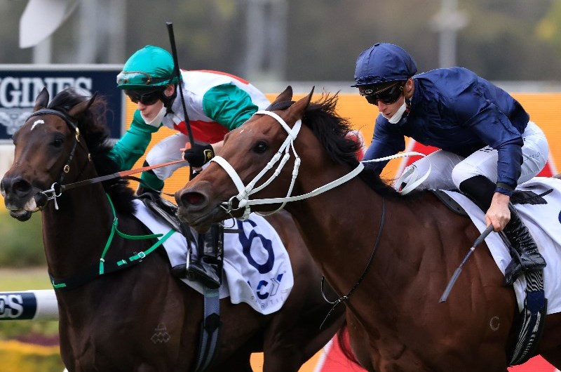 Spring Champion Stakes Final Field