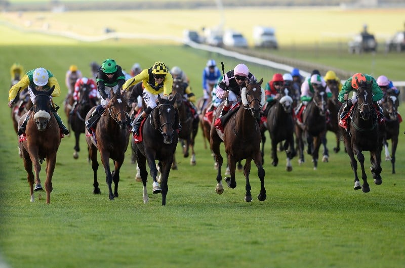 cesarewitch
