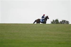 NEWMARKET, ENGLAND - OCTOBER 08: Leigh Roche riding Twilight Jet pull up after winning The Newmarket Academy Godolphin Beacon Project Cornwallis Stakes at Newmarket Racecourse on October 08, 2021 in Newmarket, England. (Photo by Alan Crowhurst/Getty Images)