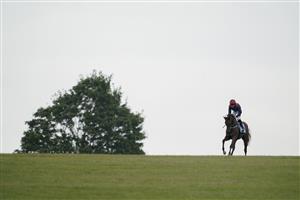 NEWMARKET, ENGLAND - OCTOBER 08: Leigh Roche riding Twilight Jet pull up after winning The Newmarket Academy Godolphin Beacon Project Cornwallis Stakes at Newmarket Racecourse on October 08, 2021 in Newmarket, England. (Photo by Alan Crowhurst/Getty Images)