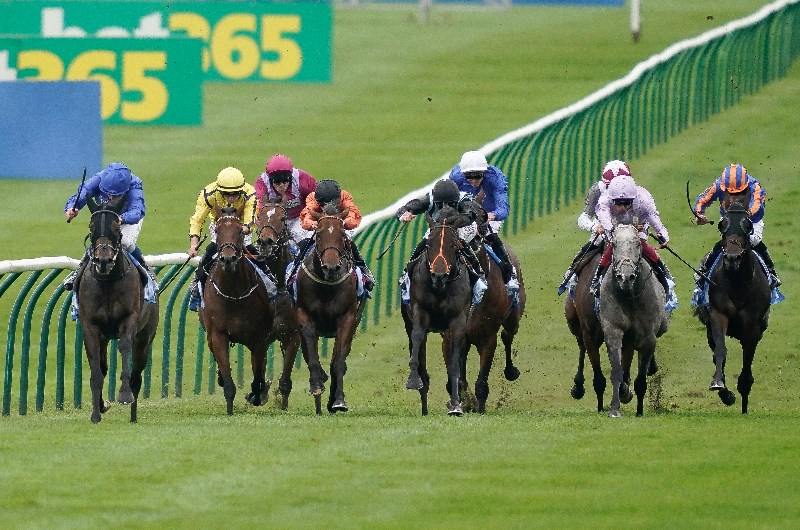 Newmarket
