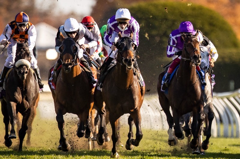order of australia breeders