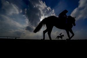 NEWMARKET, ENGLAND - OCTOBER 09: A general view as runners make their return after finishing The Dubai Nursery at Newmarket Racecourse on October 09, 2021 in Newmarket, England. (Photo by Alan Crowhurst/Getty Images)