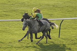 NEWMARKET, ENGLAND - OCTOBER 09: Oisin Murphy riding Buzz (green) win The Together For Racing International Cesarewitch Handicap at Newmarket Racecourse on October 09, 2021 in Newmarket, England. (Photo by Alan Crowhurst/Getty Images)