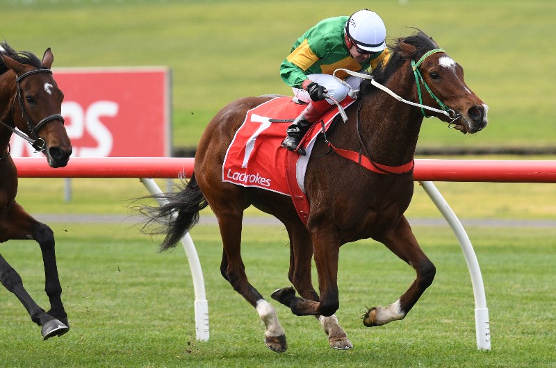 Kyneton Betting Tips