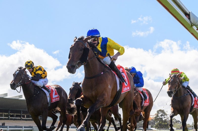 Thousand Guineas barrier draw