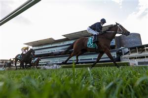 SYDNEY, AUSTRALIA - OCTOBER 09: Jason Collett on Leo wins race 10 the Dyson Sprint during Sydney Racing at Royal Randwick Racecourse on October 09, 2021 in Sydney, Australia. (Photo by Mark Evans/Getty Images)