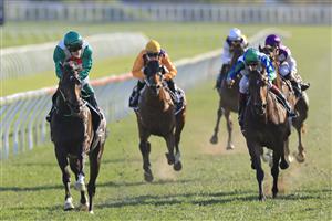 SYDNEY, AUSTRALIA - OCTOBER 09: Robbie Dolan on Profondo wins race 8 the Moet & Chandon Spring Champion Stakes during Sydney Racing at Royal Randwick Racecourse on October 09, 2021 in Sydney, Australia. (Photo by Mark Evans/Getty Images)
