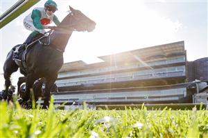 SYDNEY, AUSTRALIA - OCTOBER 09: Robbie Dolan on Profondo wins race 8 the Moet & Chandon Spring Champion Stakes during Sydney Racing at Royal Randwick Racecourse on October 09, 2021 in Sydney, Australia. (Photo by Mark Evans/Getty Images)