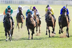 SYDNEY, AUSTRALIA - OCTOBER 09: Robbie Dolan on Profondo wins race 8 the Moet & Chandon Spring Champion Stakes during Sydney Racing at Royal Randwick Racecourse on October 09, 2021 in Sydney, Australia. (Photo by Mark Evans/Getty Images)