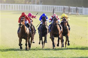 SYDNEY, AUSTRALIA - OCTOBER 09: James McDonald on Minhaaj wins race 9 The Nivison during Sydney Racing at Royal Randwick Racecourse on October 09, 2021 in Sydney, Australia. (Photo by Mark Evans/Getty Images)