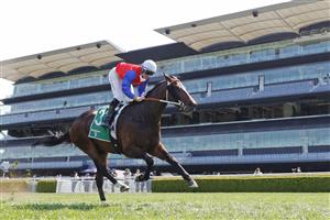 SYDNEY, AUSTRALIA - OCTOBER 09: Tommy Berry on Hilal wins race 4 the Heineken 3 Stan Fox Stakes during Sydney Racing at Royal Randwick Racecourse on October 09, 2021 in Sydney, Australia. (Photo by Mark Evans/Getty Images)