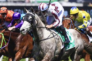 SYDNEY, AUSTRALIA - OCTOBER 09: Tommy Berry on Lord Desanimaux wins race 1 the Tab Highway Handicap during Sydney Racing at Royal Randwick Racecourse on October 09, 2021 in Sydney, Australia. (Photo by Mark Evans/Getty Images)