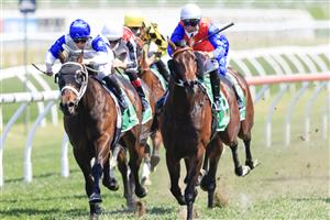 SYDNEY, AUSTRALIA - OCTOBER 09: Tommy Berry on Hilal wins race 4 the Heineken 3 Stan Fox Stakes during Sydney Racing at Royal Randwick Racecourse on October 09, 2021 in Sydney, Australia. (Photo by Mark Evans/Getty Images)
