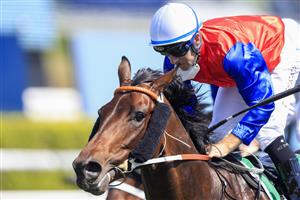 SYDNEY, AUSTRALIA - OCTOBER 09: Tommy Berry on Hilal wins race 4 the Heineken 3 Stan Fox Stakes during Sydney Racing at Royal Randwick Racecourse on October 09, 2021 in Sydney, Australia. (Photo by Mark Evans/Getty Images)