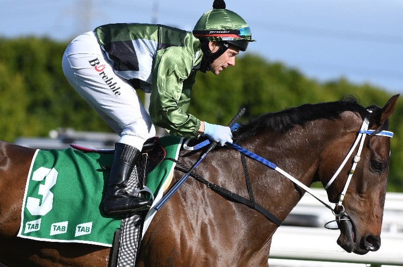 Caulfield Cup Barriers