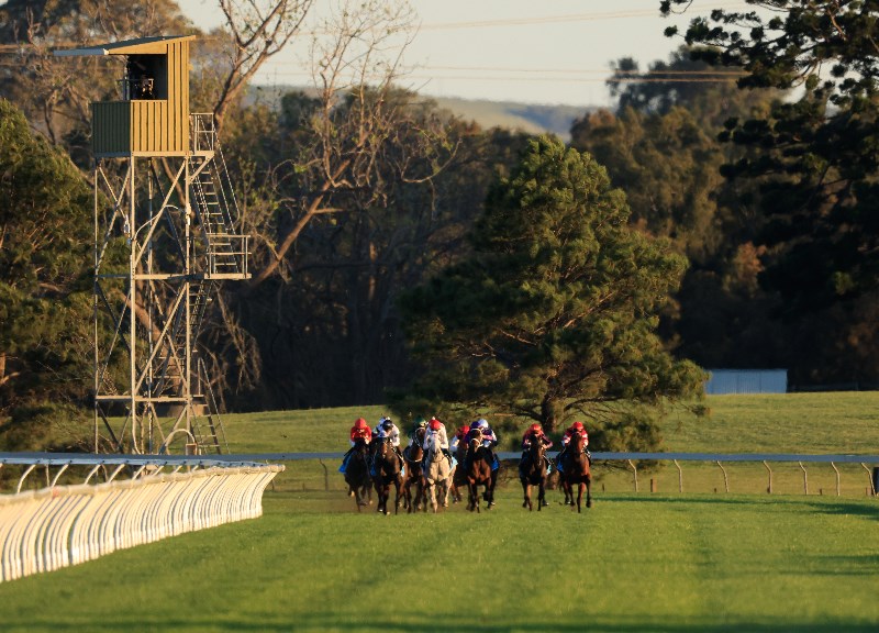 Kembla Grange Tips for 14.10.2021