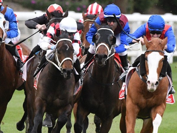 Caulfield Betting Tips