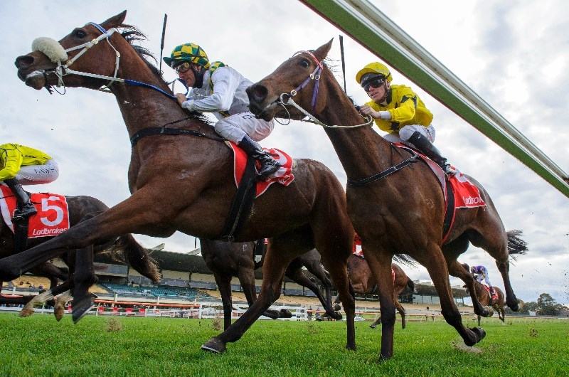Moe Betting Tips
