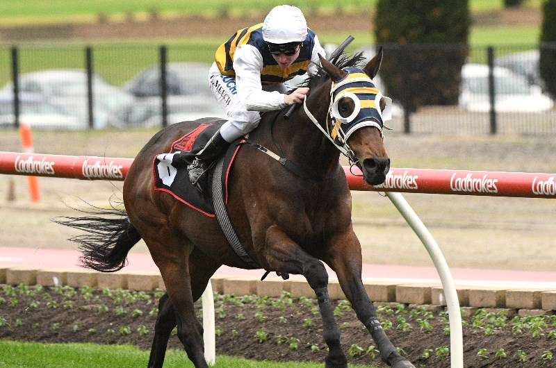 Moe Betting Tips