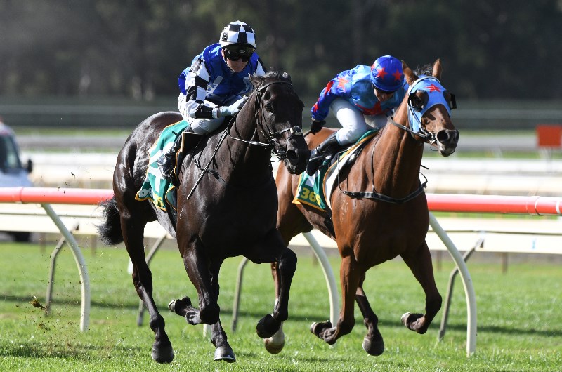 Murray Bridge Tips